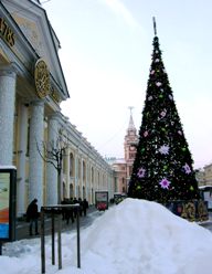 Abeto de Navidad en San Petersburgo en invierno